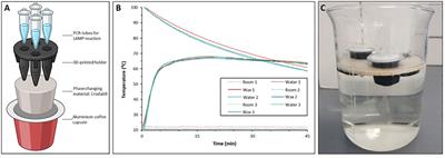 Next step towards point-of-care molecular diagnosis of female genital schistosomiasis (FGS): evaluation of an instrument-free LAMP procedure